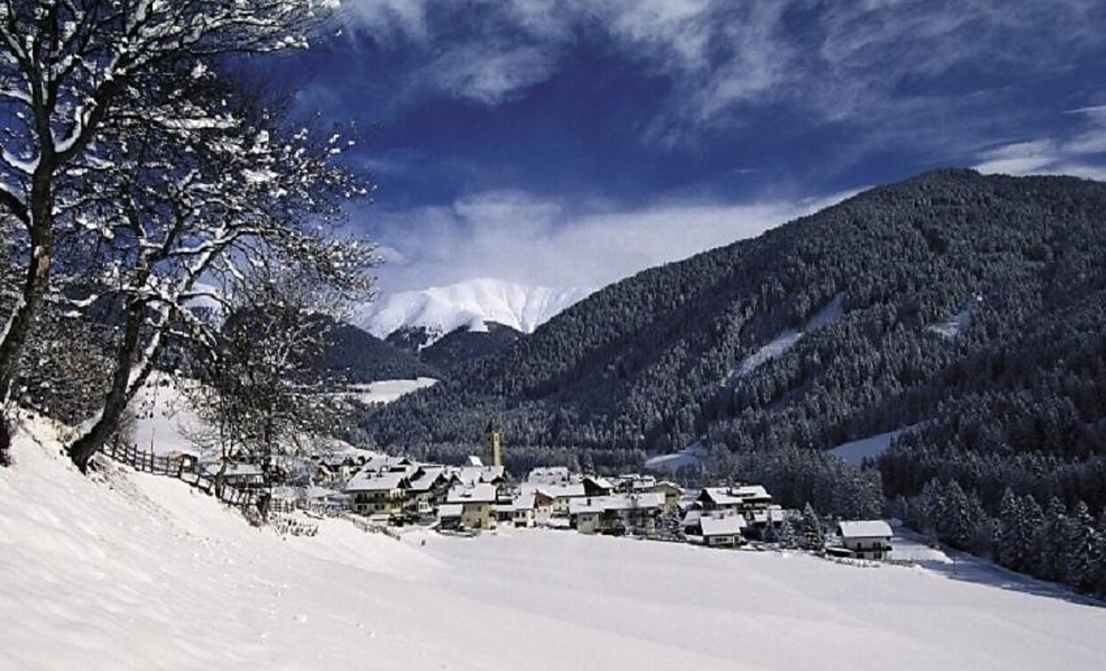 Wahlen | © © TvToblach, Toblach Wahlen | © © TvToblach, Toblach