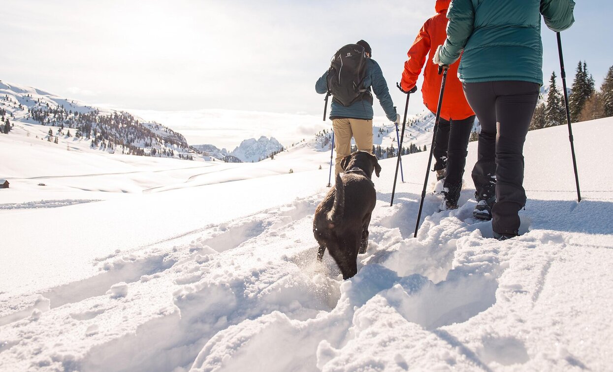 Plätzwiese - Strudelkopf | © Auer Lukas, Prags Plätzwiese - Strudelkopf | © Auer Lukas, Prags