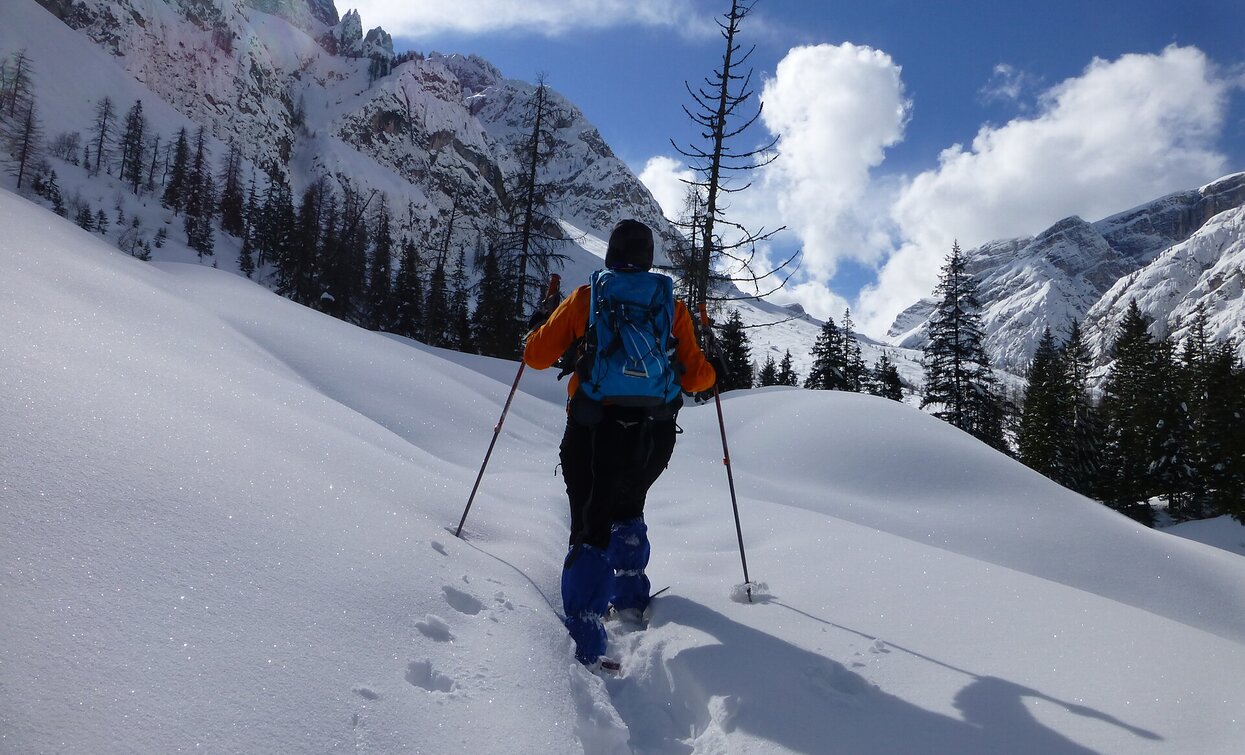 Schneeschuhwanderung im Innerfeldtal | © Tourismusverein Innichen, Innichen Schneeschuhwanderung im Innerfeldtal | © Tourismusverein Innichen, Innichen