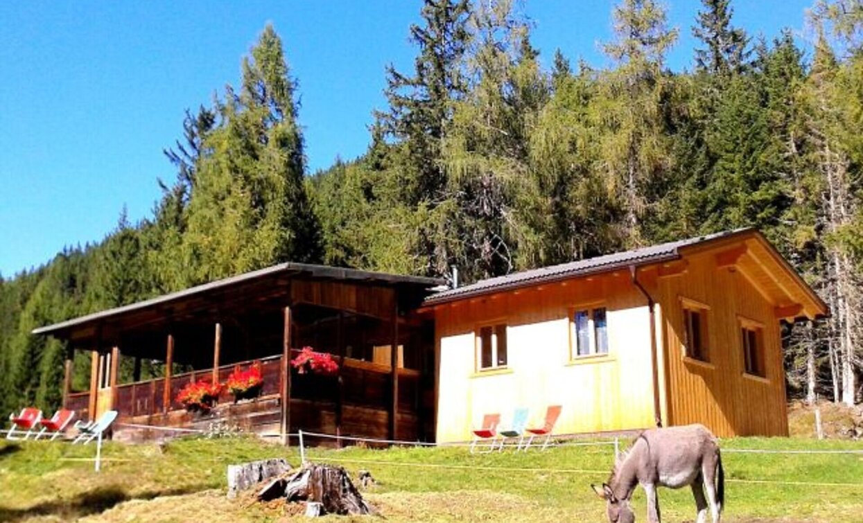 Lachwiesenhütte | © @TVToblach, Toblach Lachwiesenhütte | © @TVToblach, Toblach