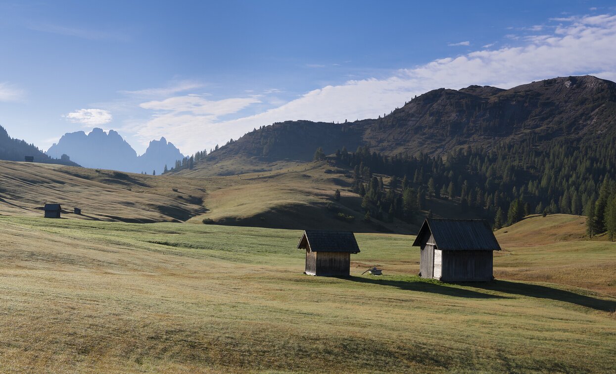 Plätzwiese | © @TVToblach, Toblach Plätzwiese | © @TVToblach, Toblach