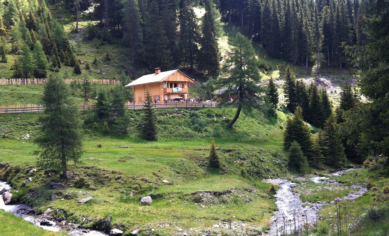 Silvesteralm | © © TvToblach, Toblach Silvesteralm | © © TvToblach, Toblach