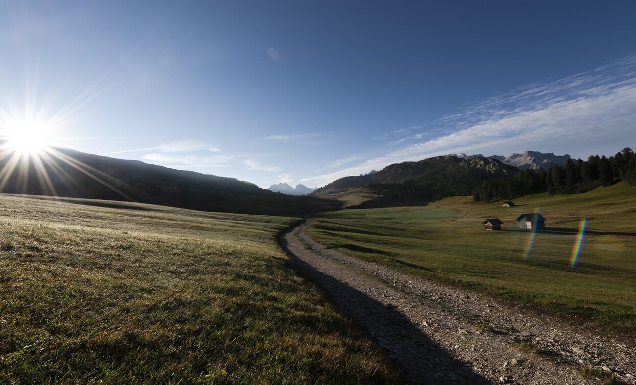 Plätzwiese | © Eder, Tourismusverein Pragser Tal, Prags Plätzwiese | © Eder, Tourismusverein Pragser Tal, Prags