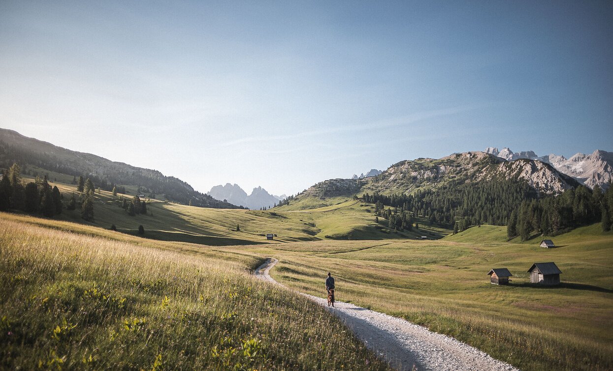 Brückele - Plätzwiese | © Kotter Steger, Prags Brückele - Plätzwiese | © Kotter Steger, Prags
