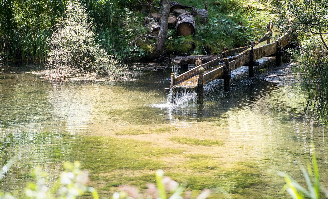 Maite | © TV-Prags, Prags Maite | © TV-Prags, Prags