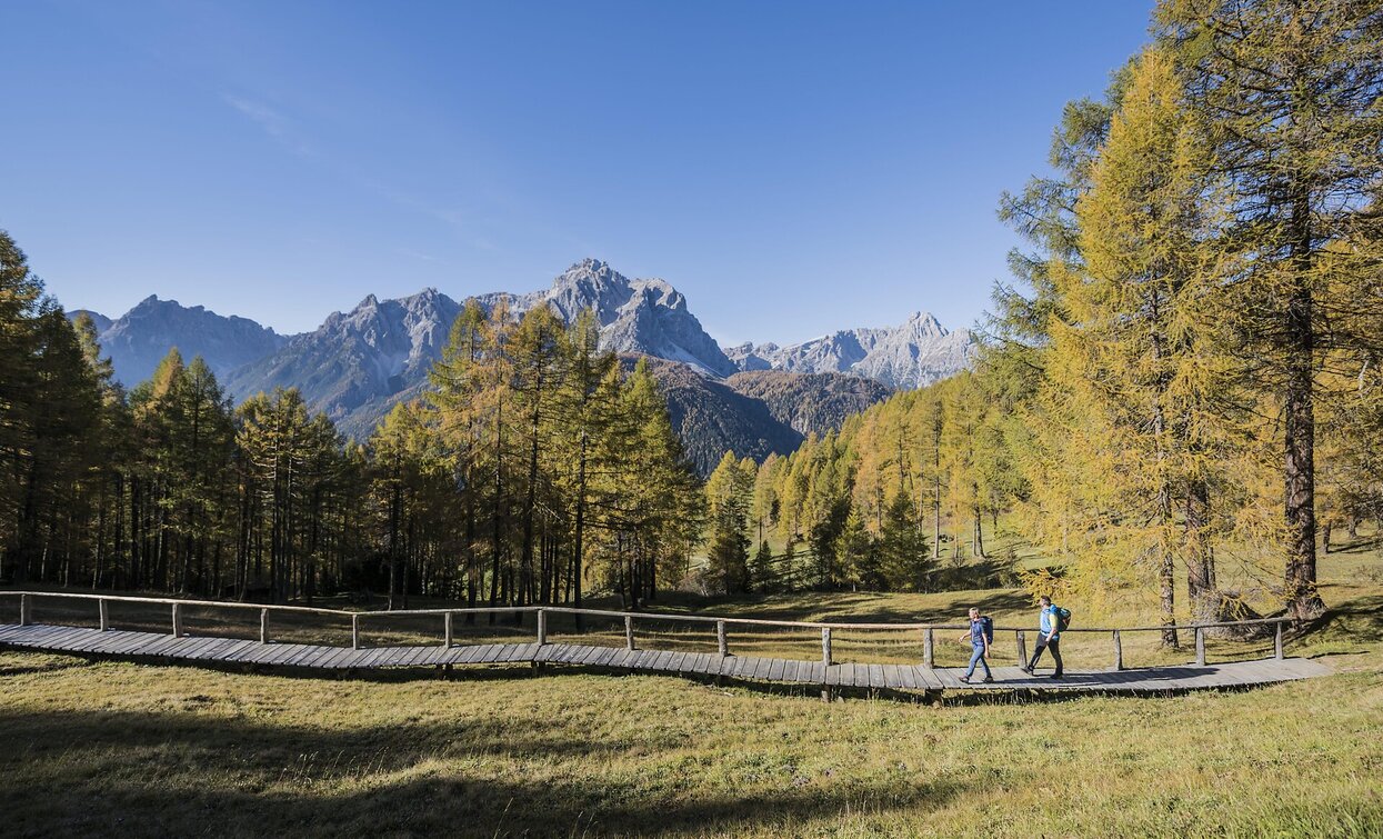 Wandern Mitterberg | © TV Sexten - Harald Wisthaler, Sexten Wandern Mitterberg | © TV Sexten - Harald Wisthaler, Sexten