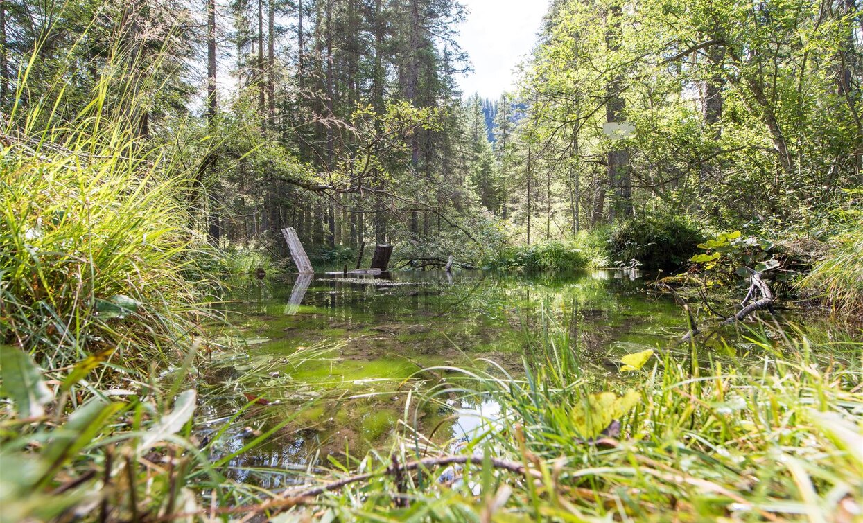 Maite | © Kotter Steger, Prags Maite | © Kotter Steger, Prags