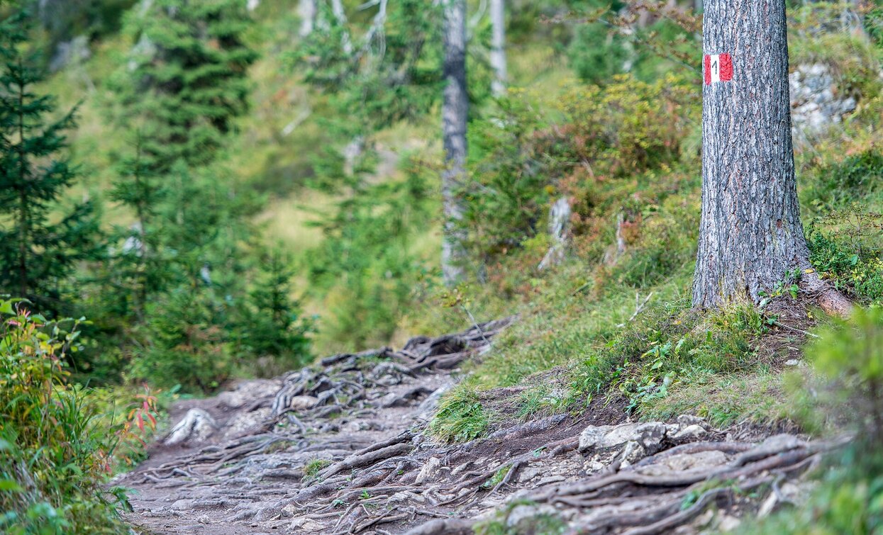 Altprgs -Sarlkofel | © Kotter Steger, Prags Altprgs -Sarlkofel | © Kotter Steger, Prags