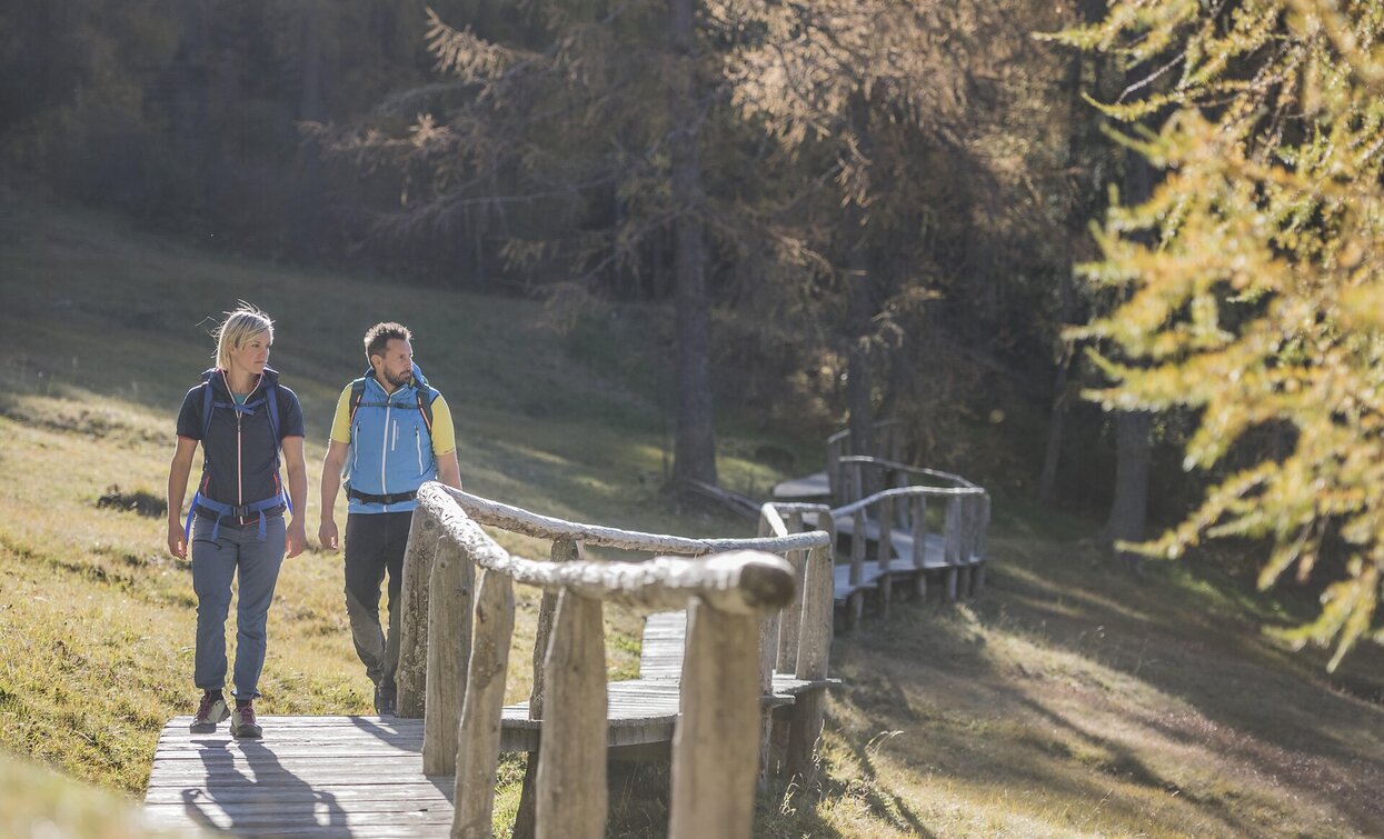 Wandern am Helm | © TV Sexten - Harald Wisthaler, Sexten Wandern am Helm | © TV Sexten - Harald Wisthaler, Sexten