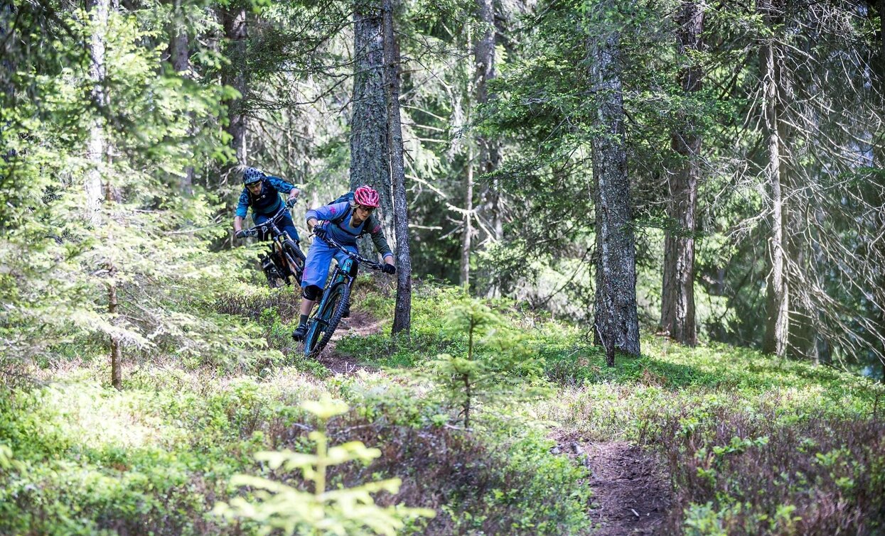 MTB Technik Parcours Signaue | © Rocky_Mountain_Markus_Gerber_, Sexten MTB Technik Parcours Signaue | © Rocky_Mountain_Markus_Gerber_, Sexten