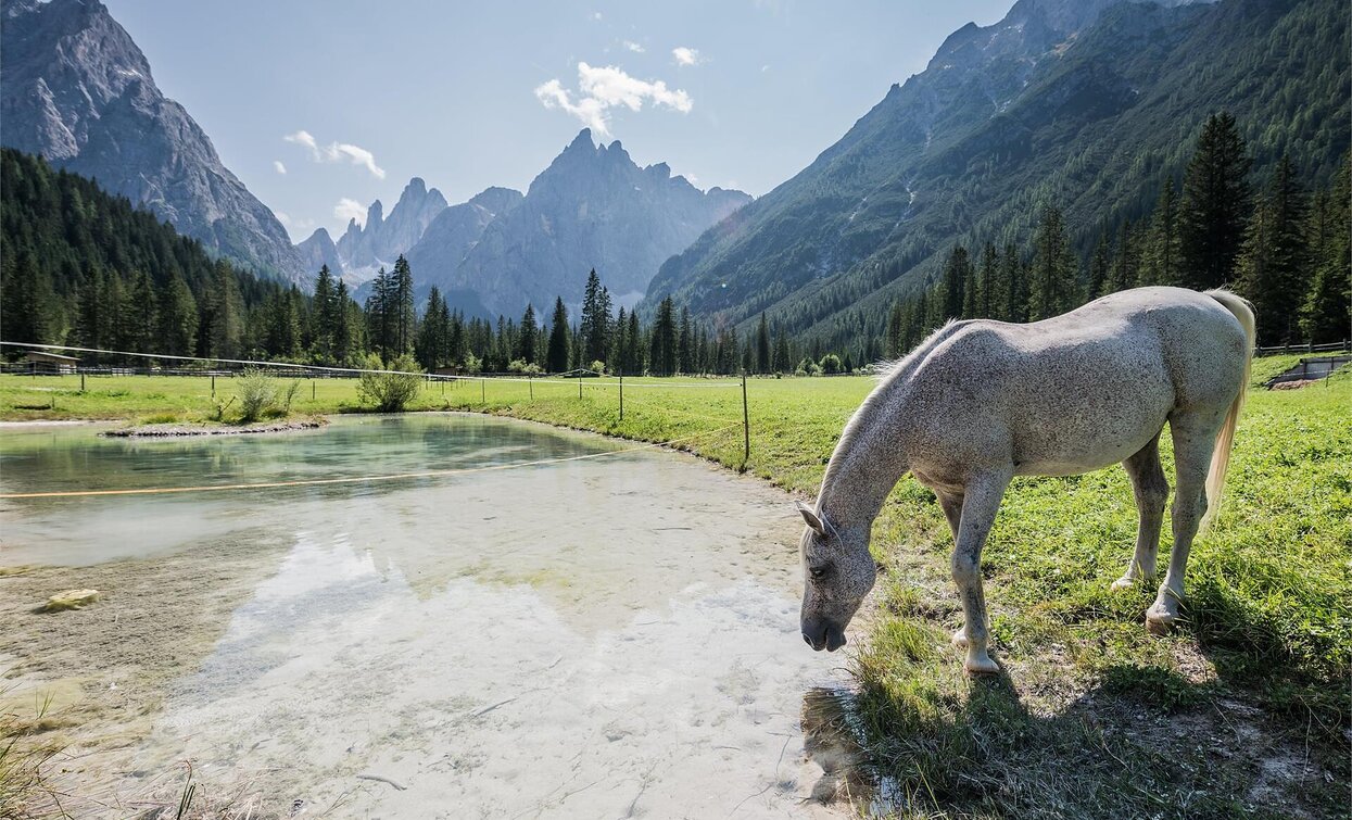Fischleintal | © Harald Wisthaler, Sexten Fischleintal | © Harald Wisthaler, Sexten