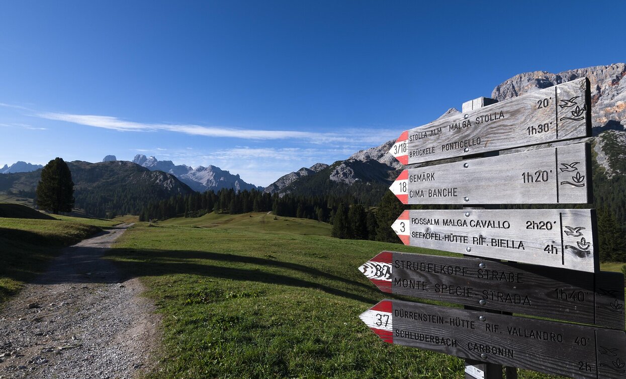 Brückele - Stolla Alm - Plätzwiese | © TV Prags, Prags Brückele - Stolla Alm - Plätzwiese | © TV Prags, Prags