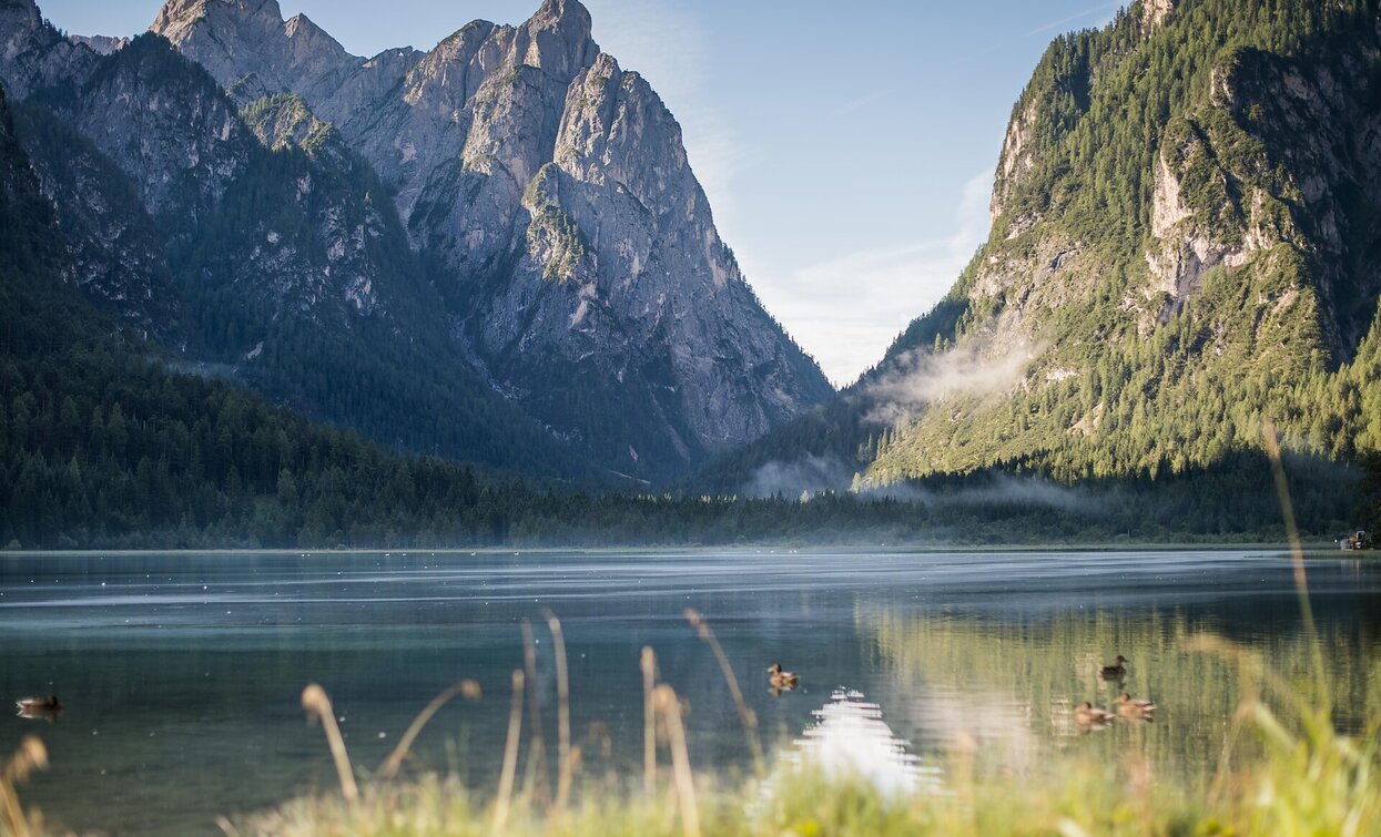 Radroute | © Niederdorf Radroute | © Niederdorf