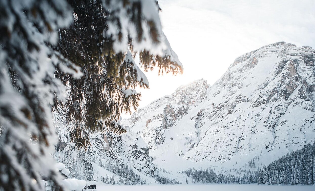 Pragser Wildsee - Kaserhütte | © Prags Pragser Wildsee - Kaserhütte | © Prags