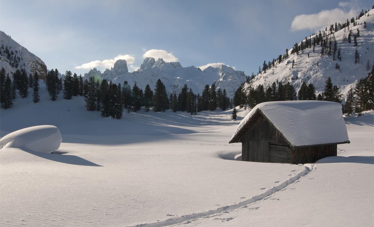 Brückele - Stolla Alm - Plätzwiese | © Prags Brückele - Stolla Alm - Plätzwiese | © Prags