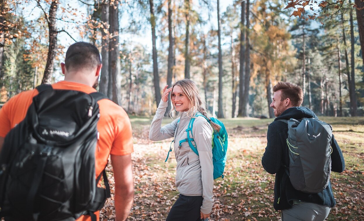 Säge - Brückele | © Prags Säge - Brückele | © Prags