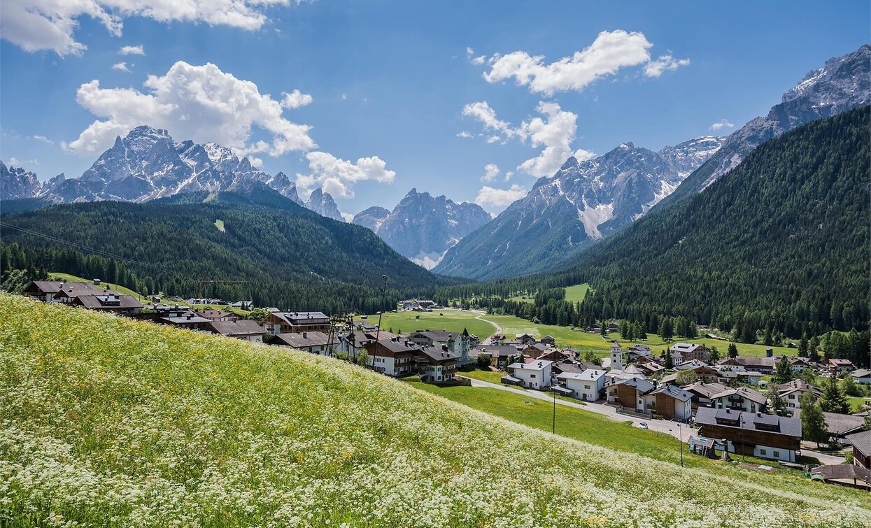 Moos | © Sexten Moos | © Sexten